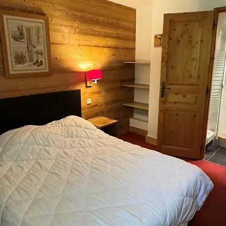 Le Centaure - Grand Pour 10 Personnes - Avec Acces Direct Aux Pistes Mae-0541 La Plagne